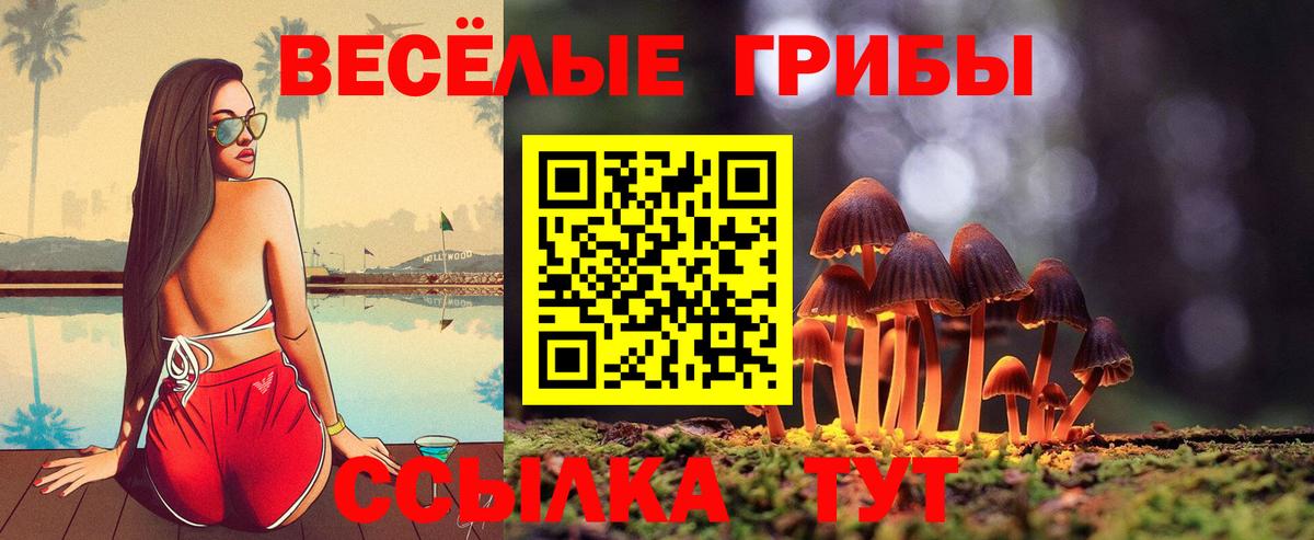 Псилоцибиновые грибы прущие грибы  Вход с VPN  где найти наркотики  Псилоцибиновые грибы мицелий  Лиски 