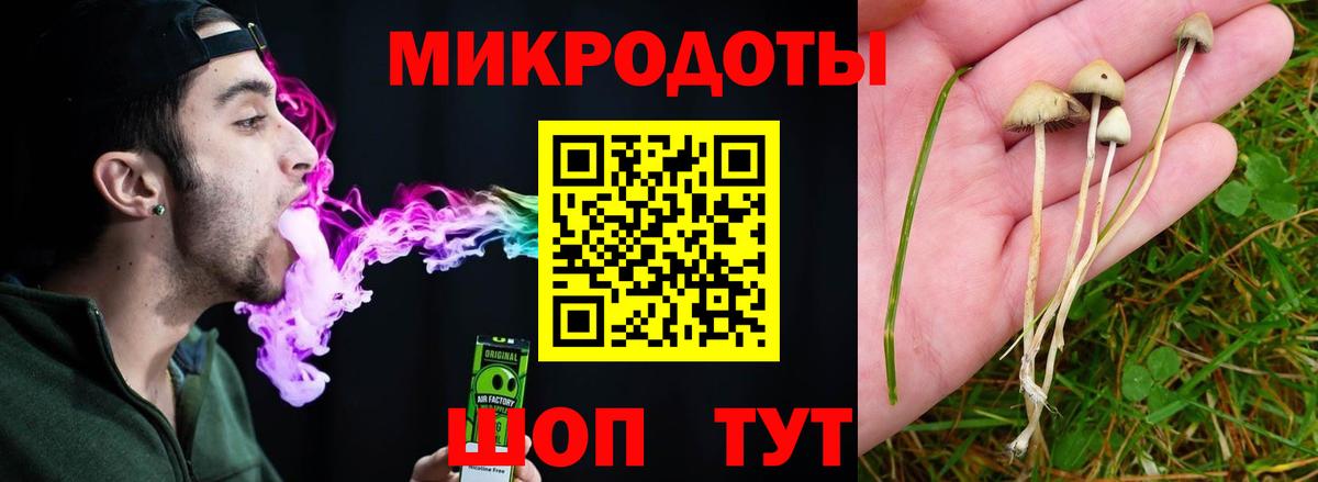 Псилоцибиновые грибы мухоморы Лиски
